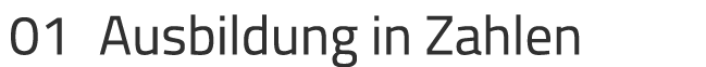 01 Ausbildung in Zahlen