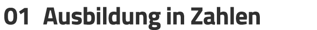 01 Ausbildung in Zahlen