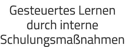Gesteuertes Lernen durch interne Schulungsma nahmen