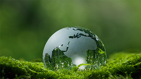 Nachhaltigkeit im Fokus der Prüfung: Online-Seminar für Prüfer:innen & Ausbilder:innen zur mündlichen Prüfung KVF Nachhaltigkeit im Fokus der Prüfung: Online-Seminar für Prüfer:innen & Ausbilder:innen zur mündlichen Prüfung KVF