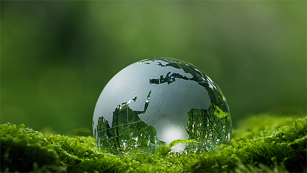 Nachhaltigkeit im Fokus der Prüfung: Online-Seminar für Prüfer:innen & Ausbilder:innen zur mündlichen Prüfung KVF